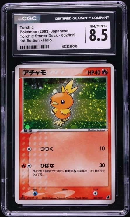 Torchic