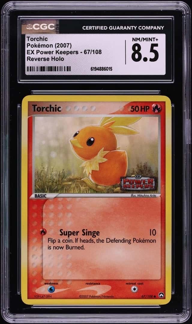 Torchic