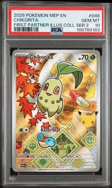Chikorita