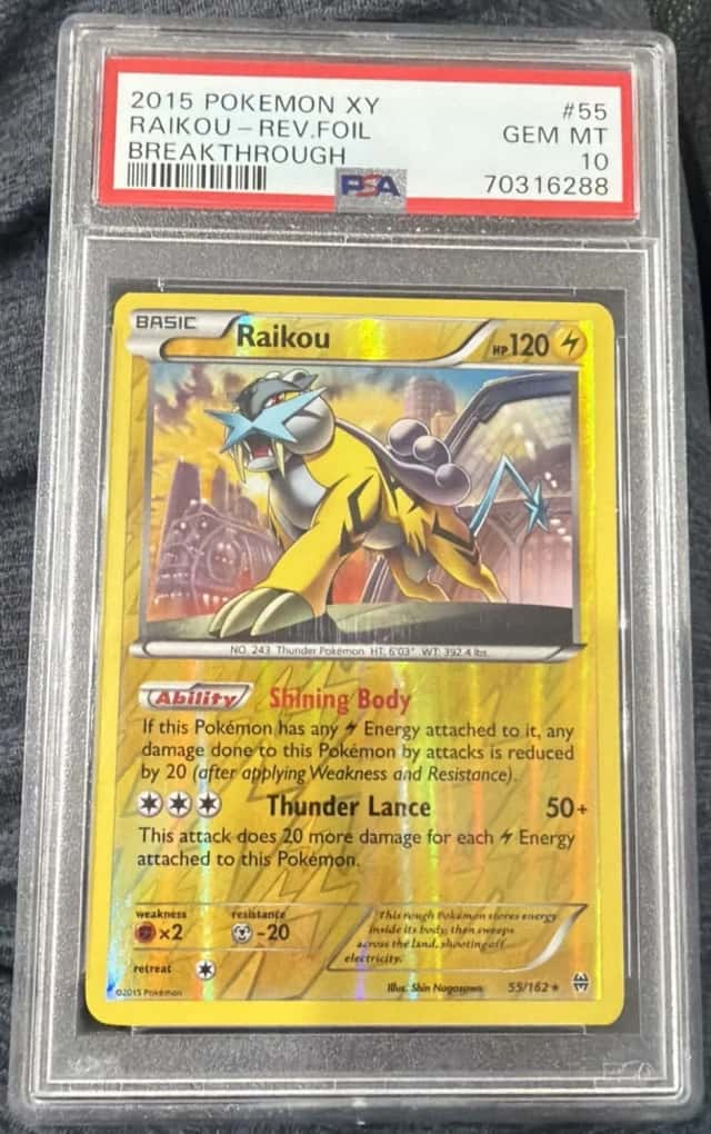 Raikou