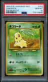 Chikorita