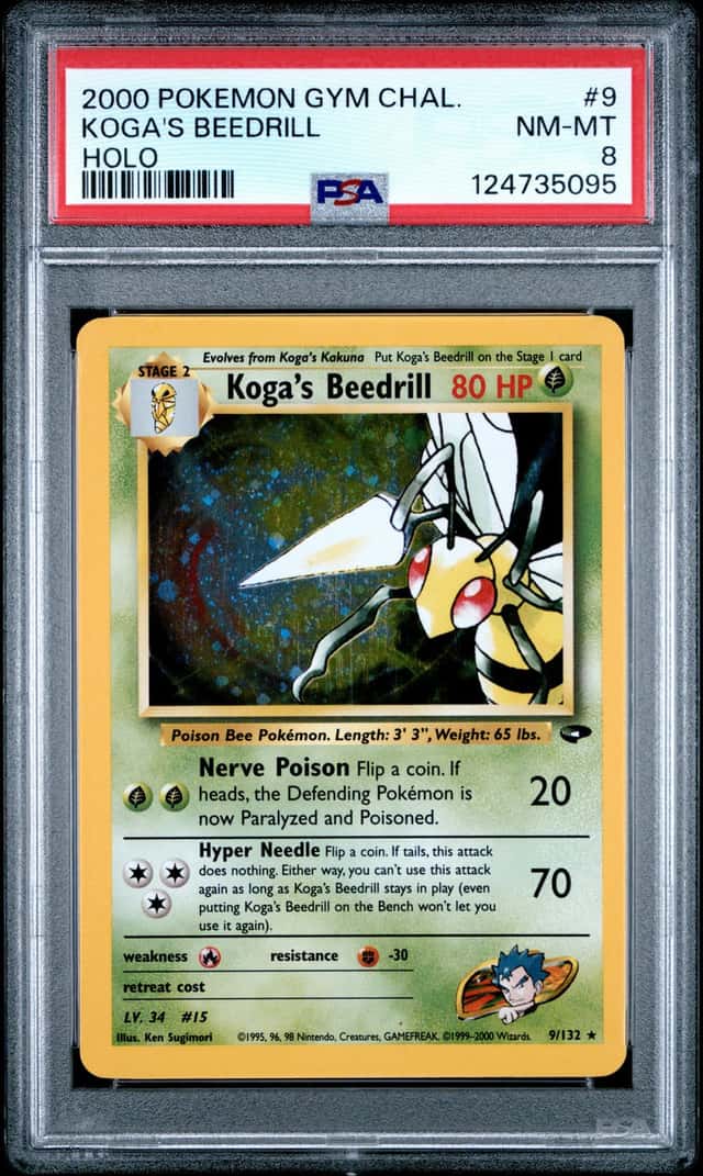 Koga's Beedrill