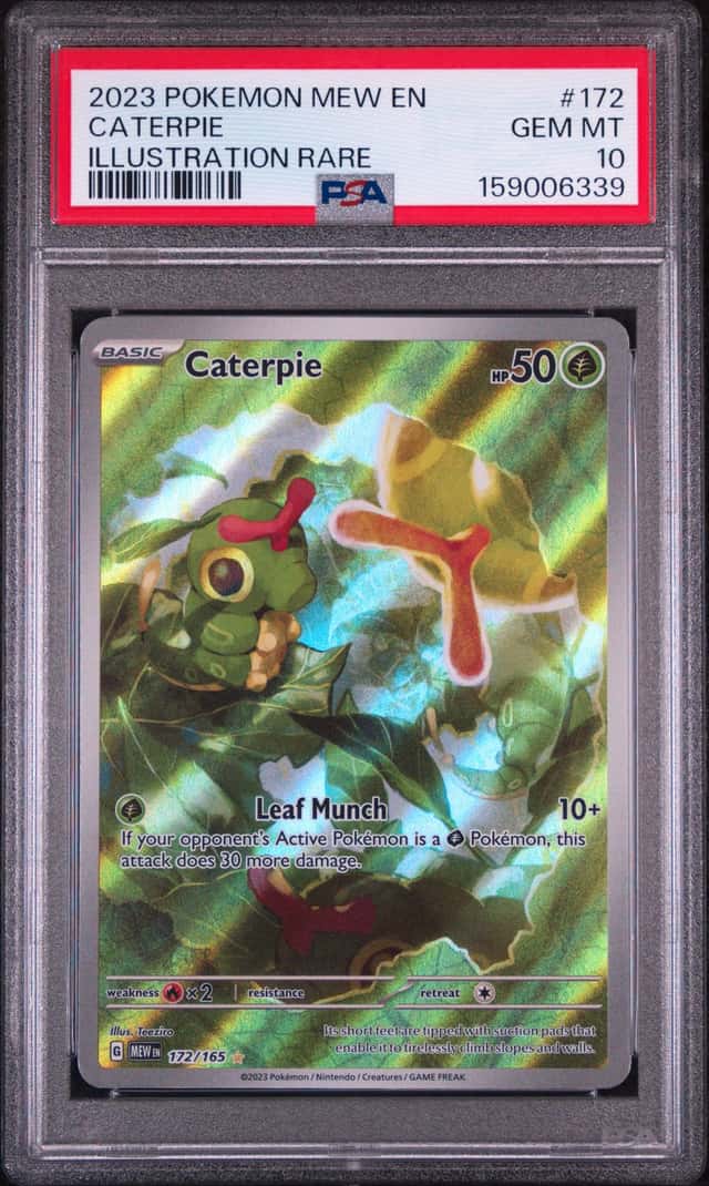 Caterpie