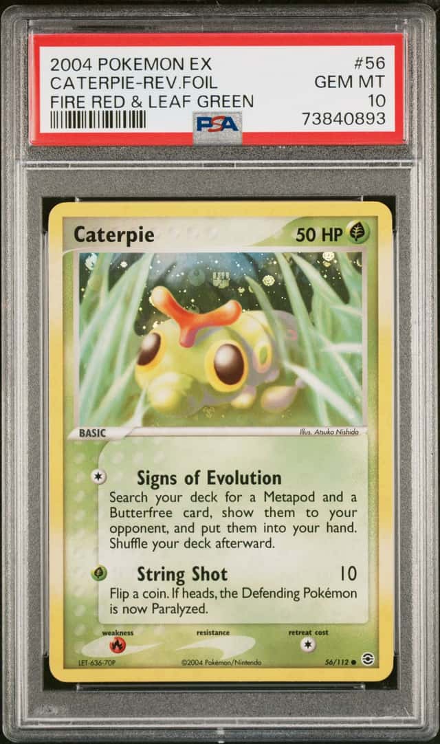 Caterpie