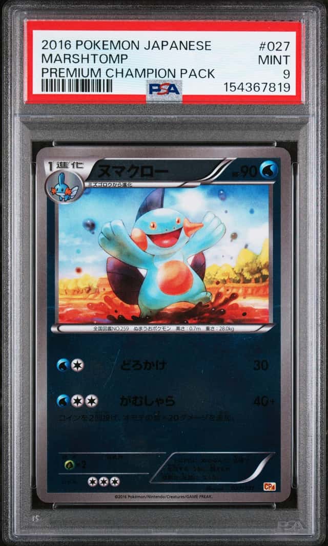 Marshtomp