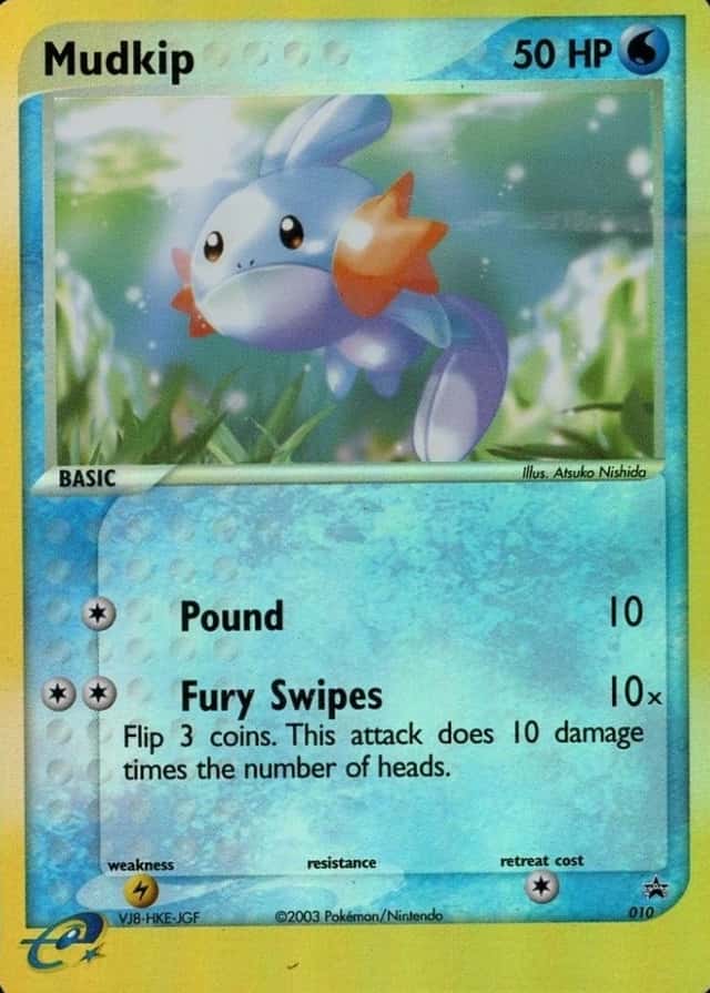 Mudkip