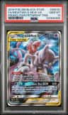 Mewtwo & Mew Gx