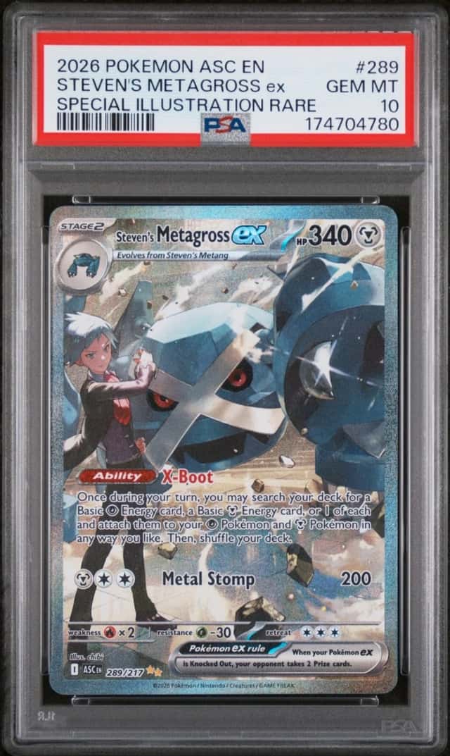 STEVEN'S METAGROSS ex