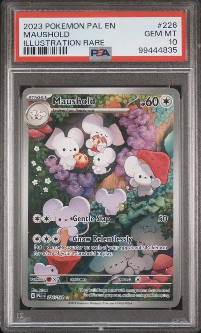 Pokemon Maushold Paldea Evolved 226/193 Illustration Rare PSA 10 Gem Mint