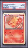 Torchic