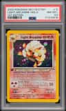Light Arcanine