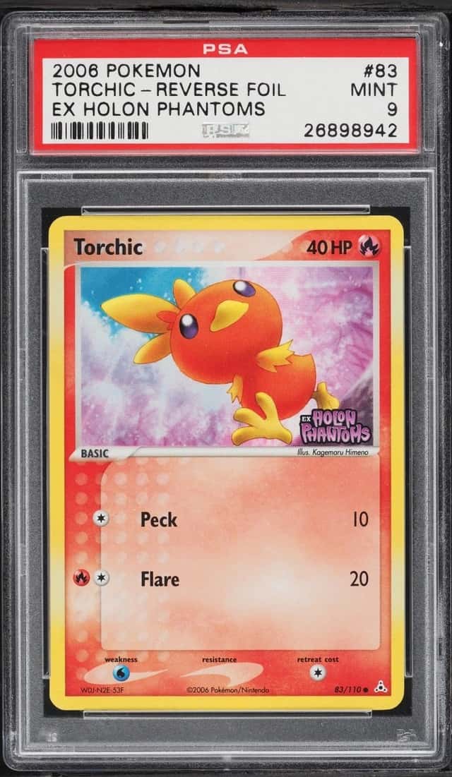 Torchic