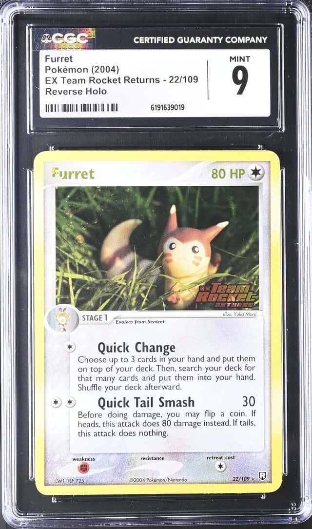 Furret