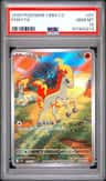 Ponyta