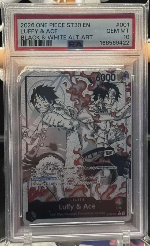 Luffy & Ace