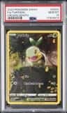 Turtwig