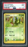 Treecko