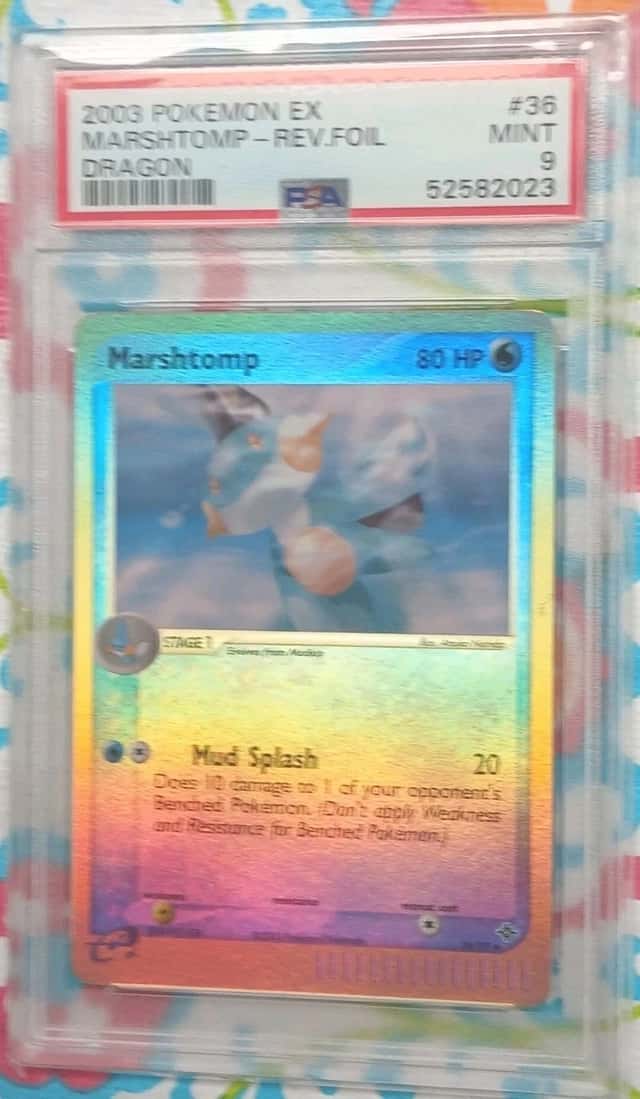 Marshtomp