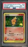 Torchic