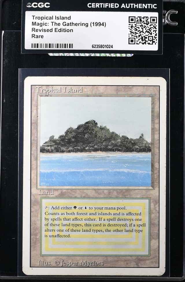 Tropical Island