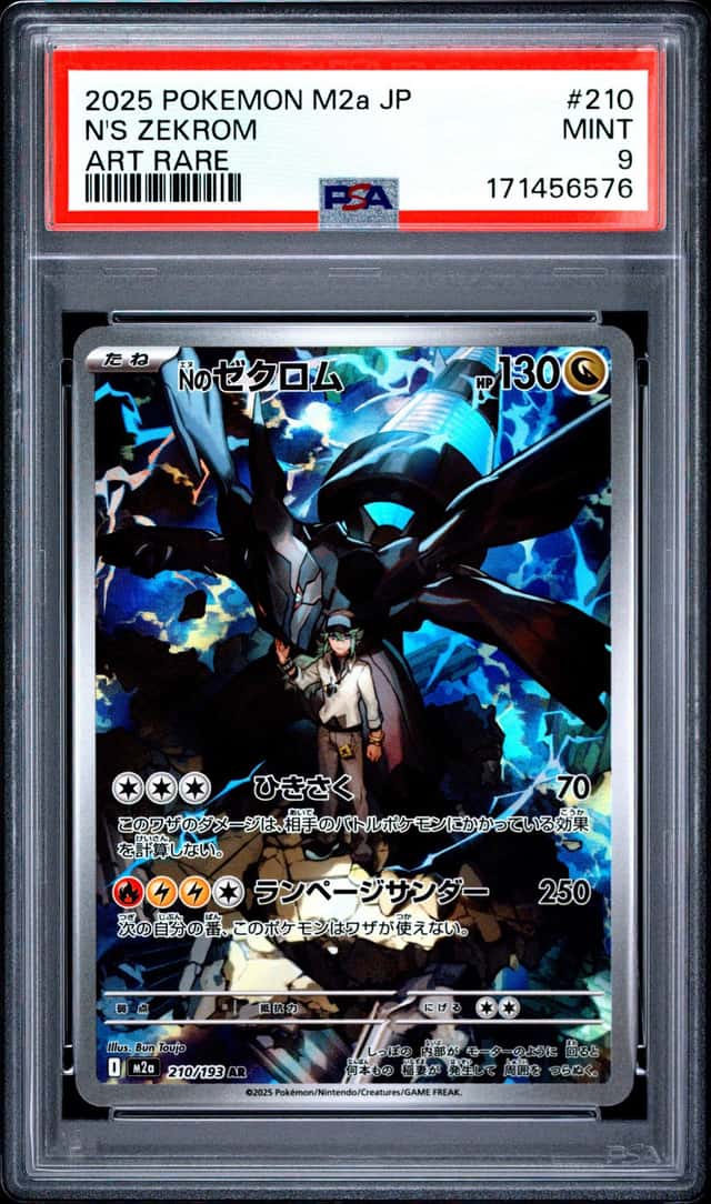 N's Zekrom