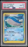 Wailord