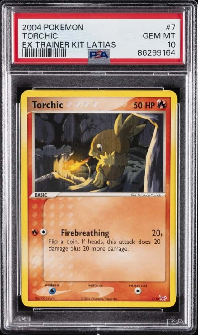 Torchic