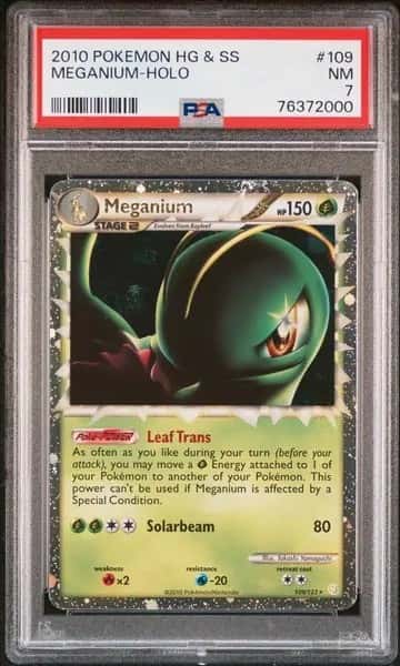 Meganium