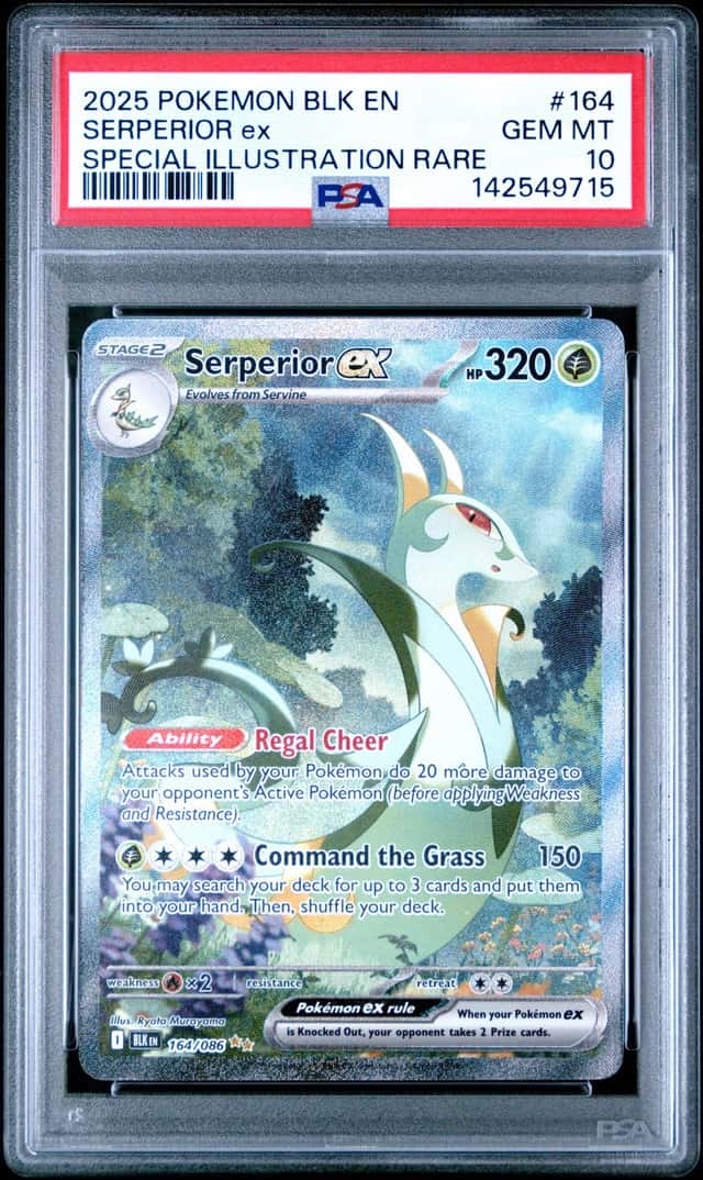 SERPERIOR ex