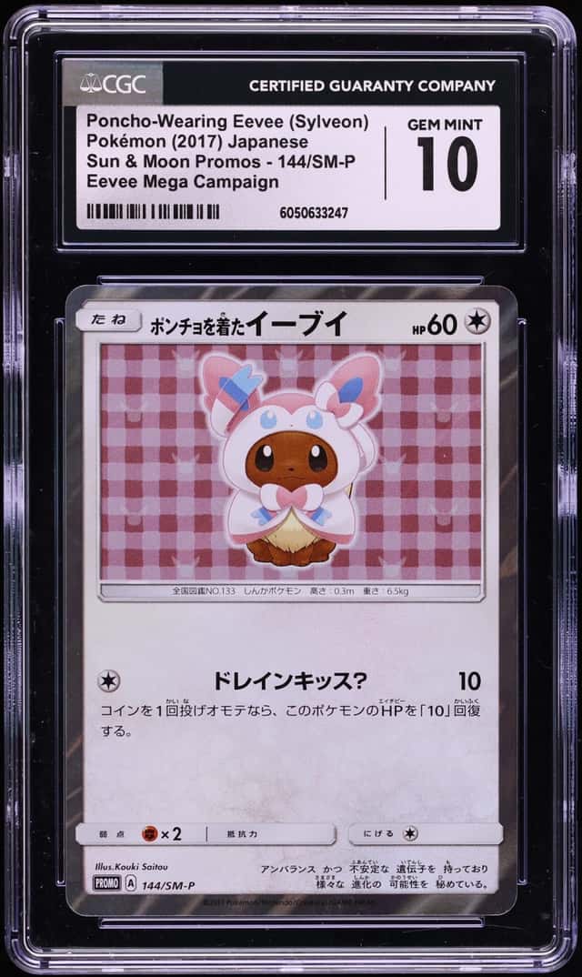 Poncho-Wearing Eevee