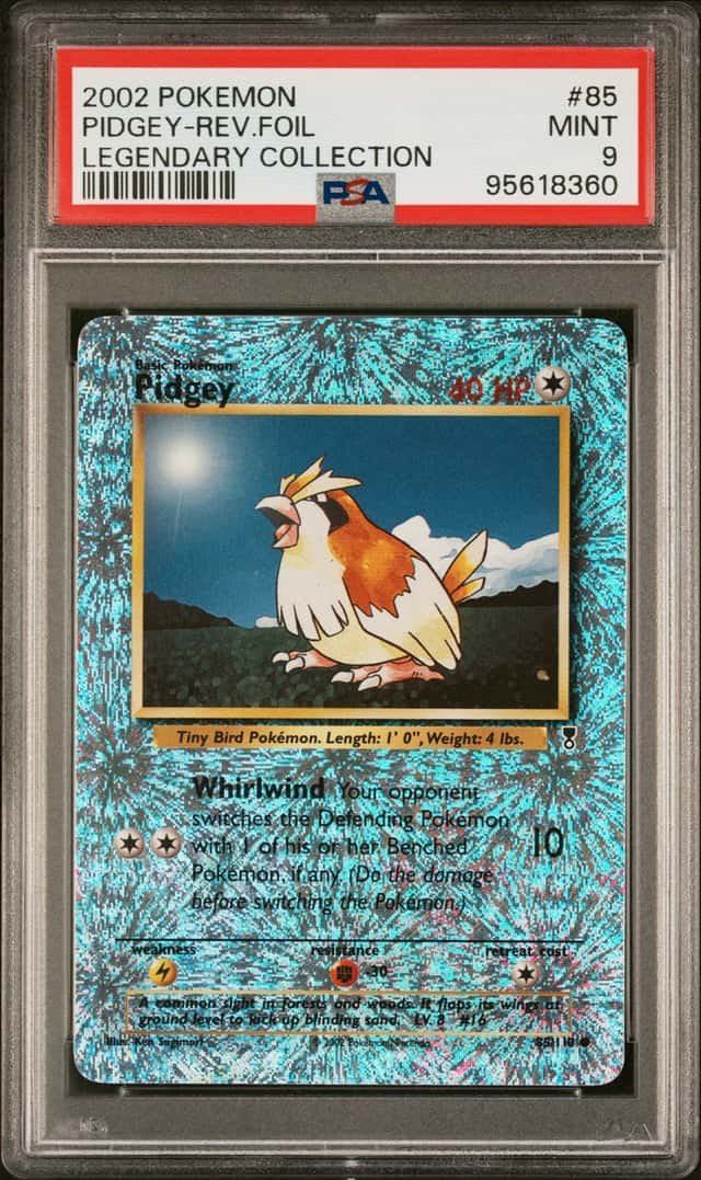 Pidgey