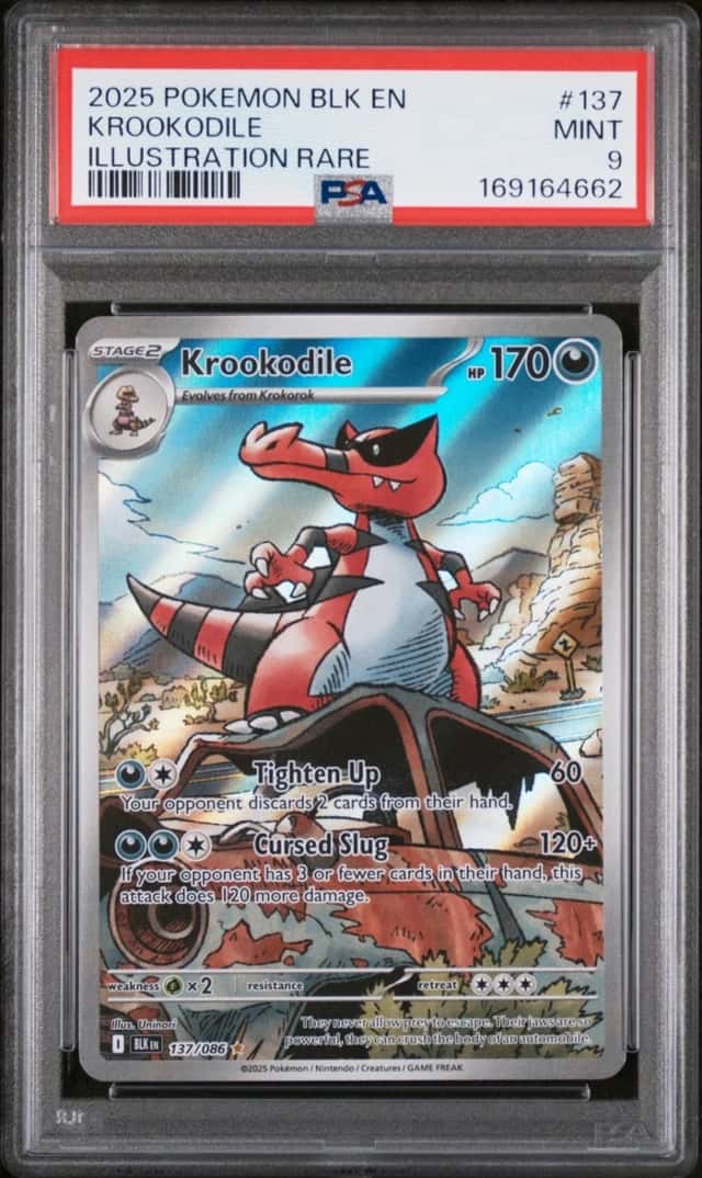 Krookodile