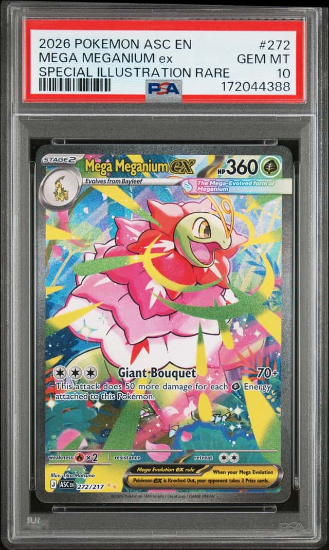 MEGA MEGANIUM ex