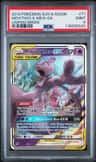 Mewtwo & Mew Gx