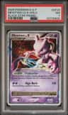 Mewtwo Lv X