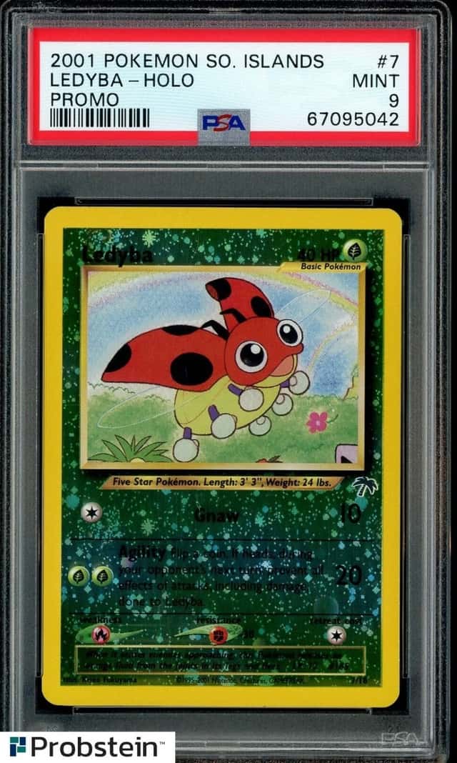 Ledyba