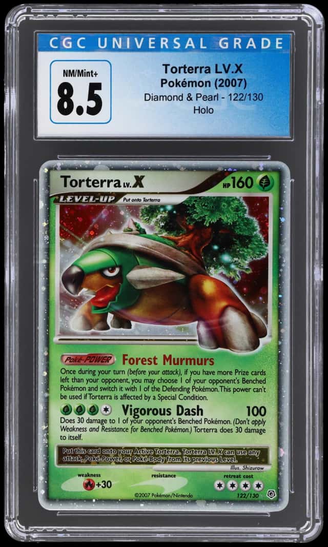 Torterra Lv X