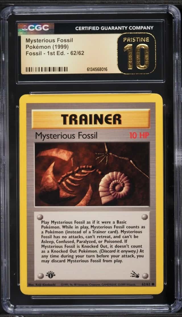 Mysterious Fossil