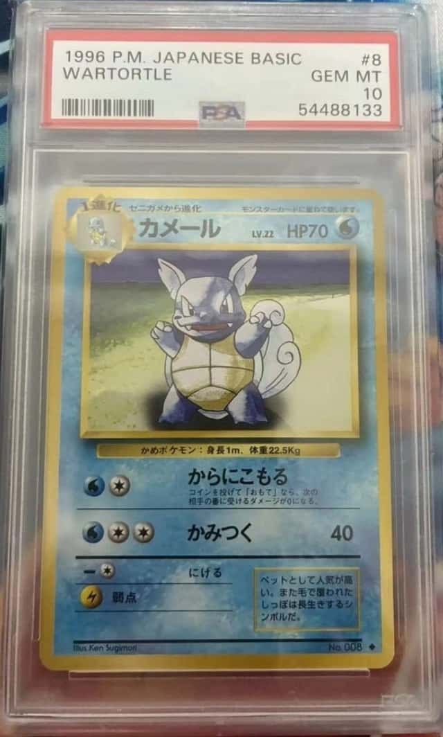 Wartortle