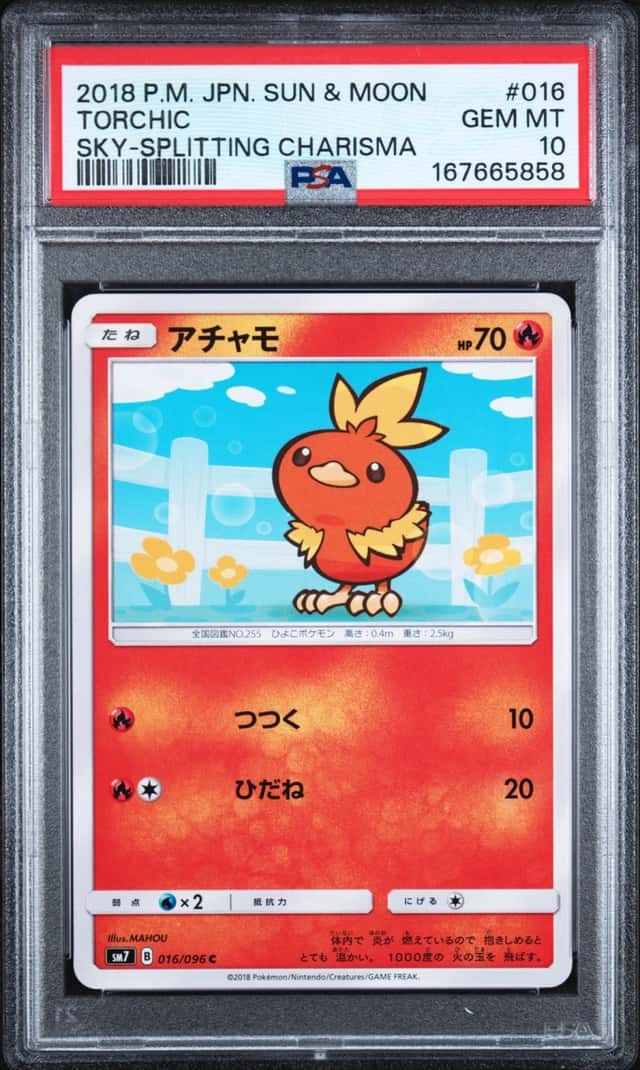 Torchic