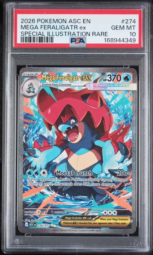 MEGA FERALIGATR ex