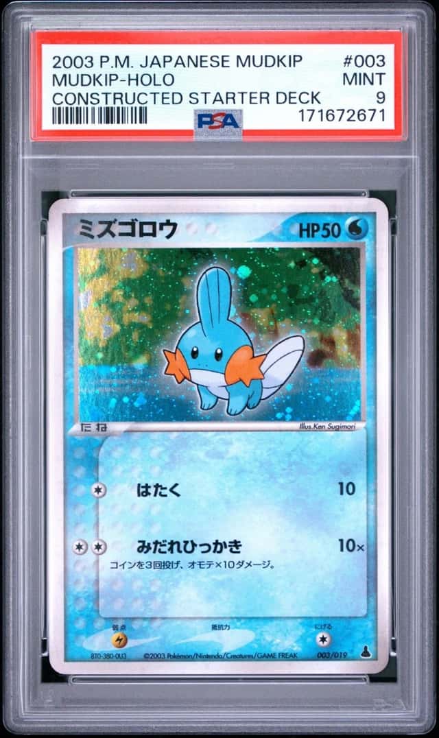 Mudkip