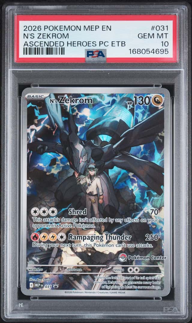 N's Zekrom