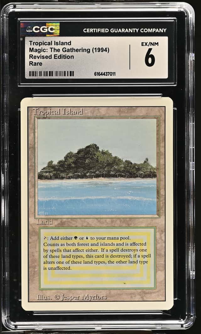 Tropical Island