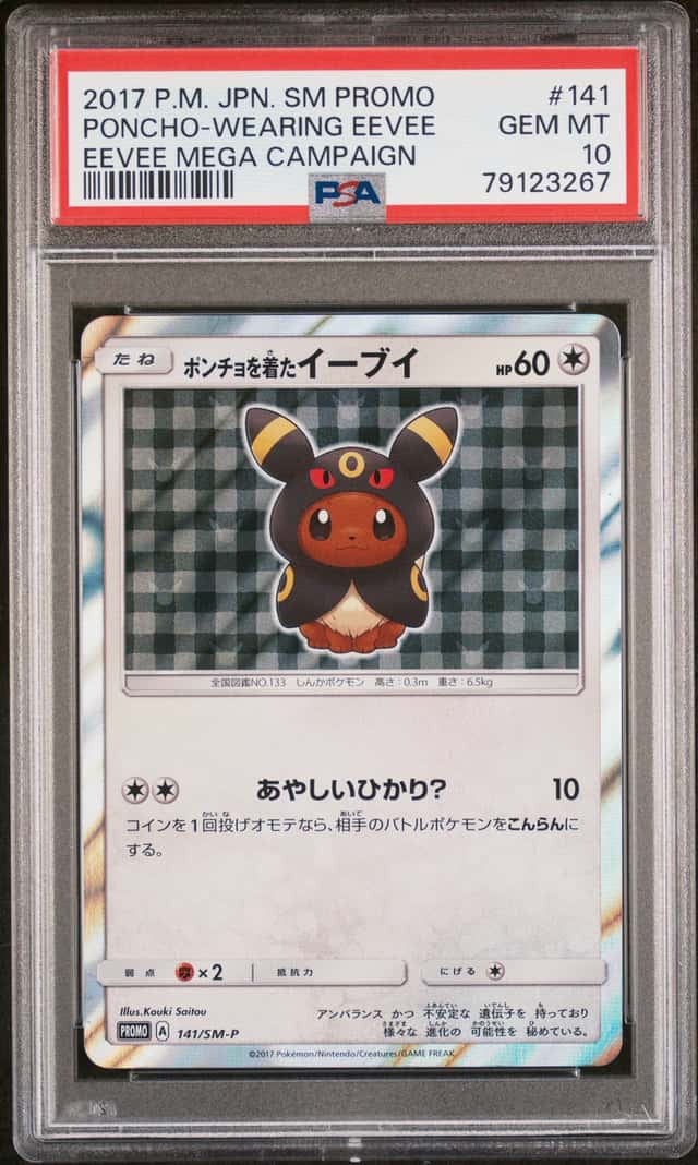 Poncho-Wearing Eevee