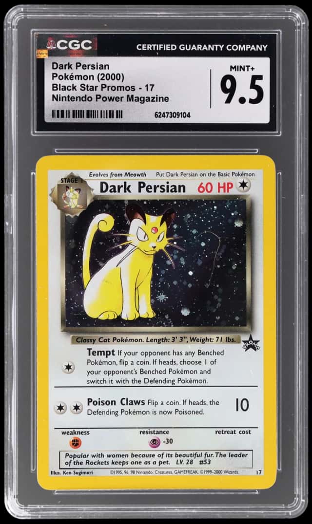 Dark Persian
