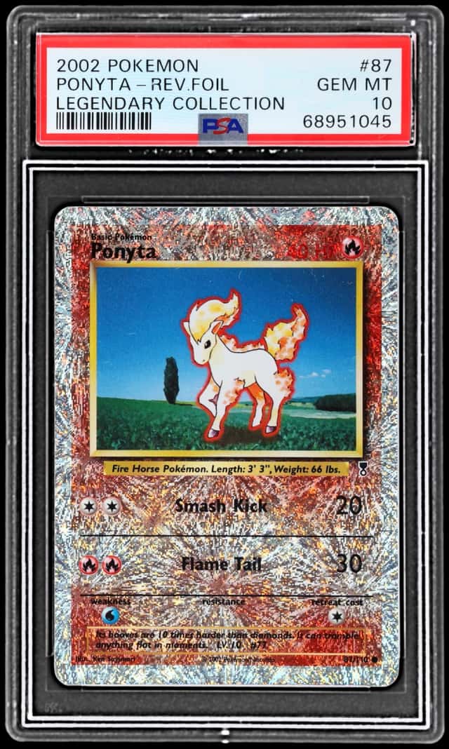 Ponyta