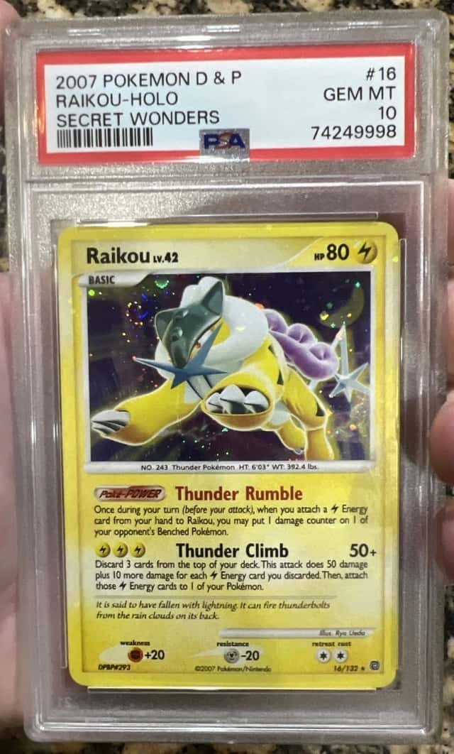 Raikou