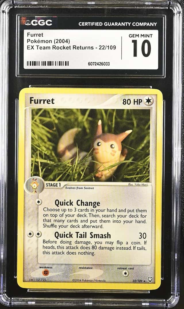 Furret