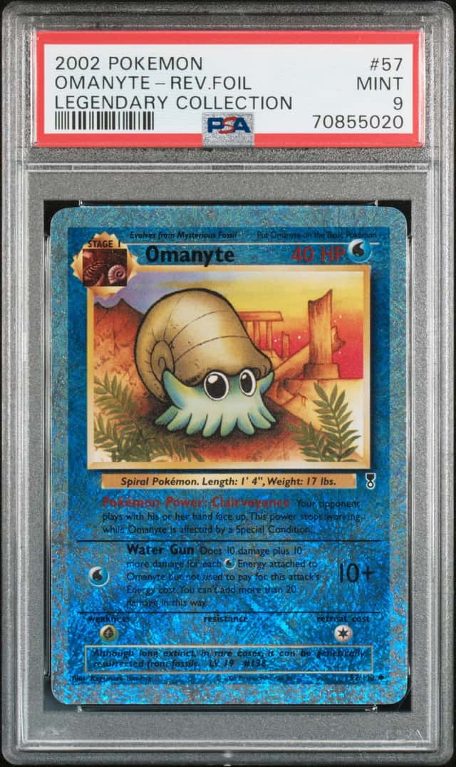 Omanyte